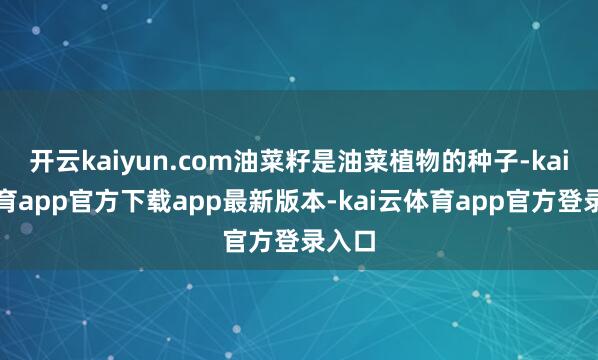 开云kaiyun.com油菜籽是油菜植物的种子-kai云体育app官方下载app最新版本-kai云体育app官方登录入口